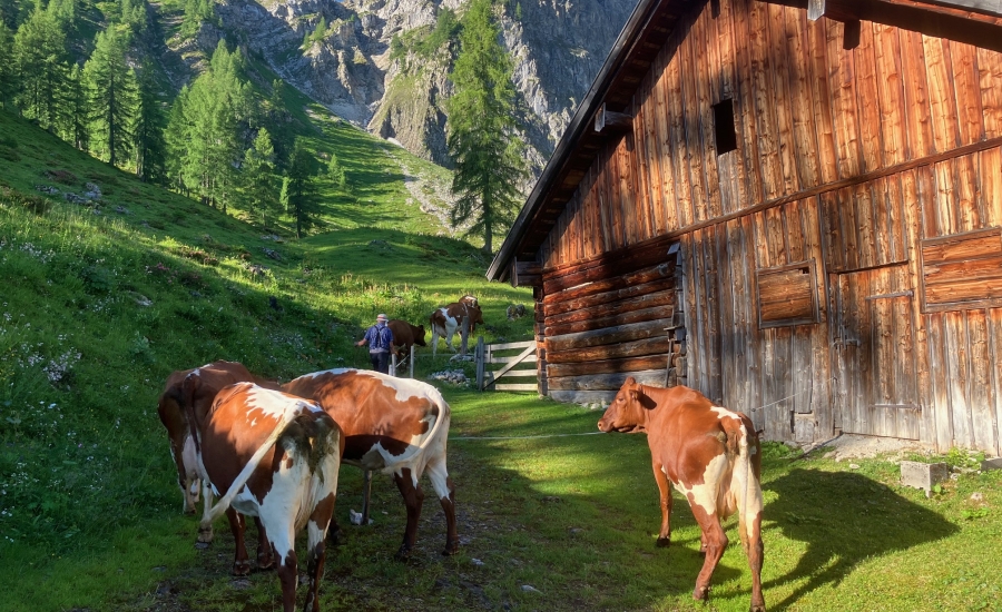 aignerhof-ferienwohnungen-urlaub-30