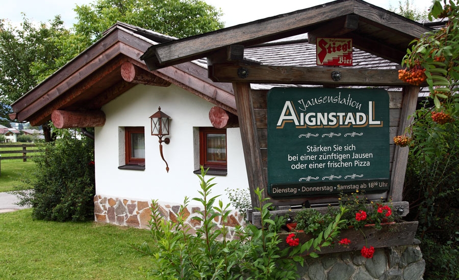 bauernhofurlaub-flachau-tiere-sommer-2068