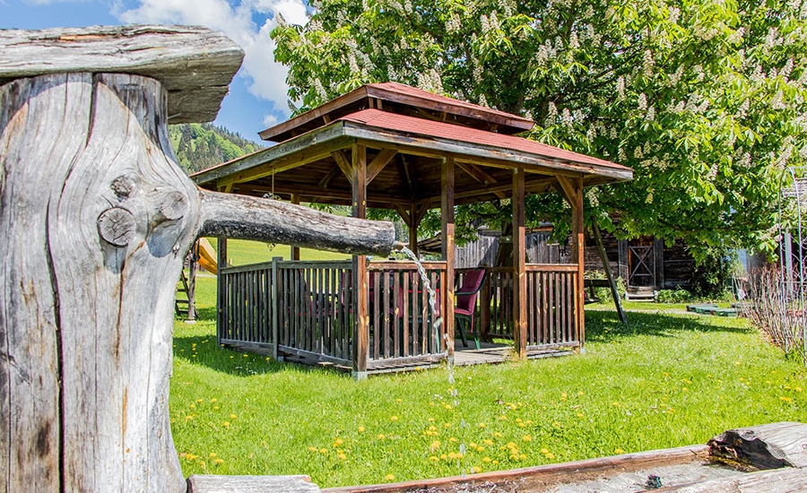 bauernhofurlaub-flachau-tiere-sommer-4118