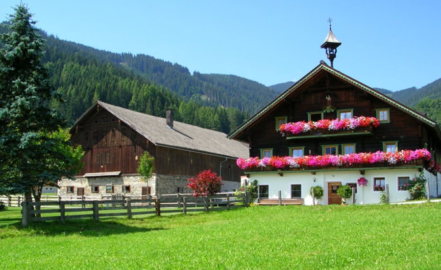 bauernhofurlaub-flachau001