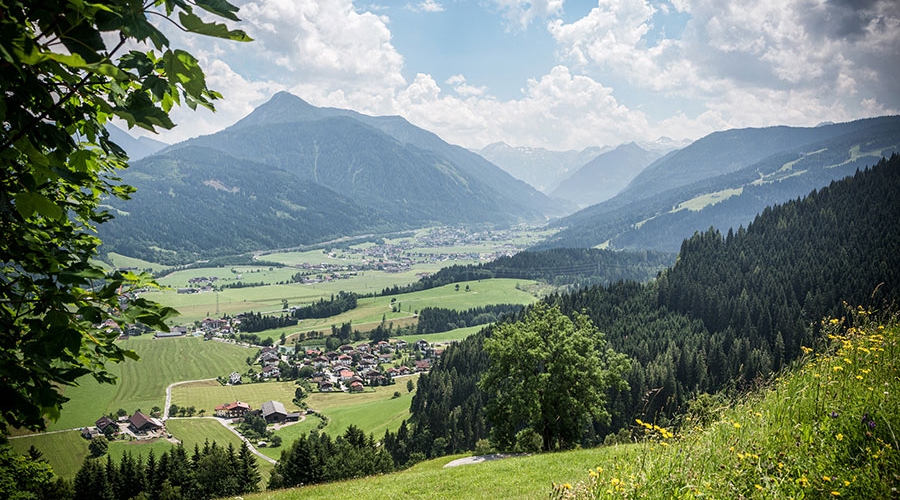 Bauernhofurlaub Flachau002
