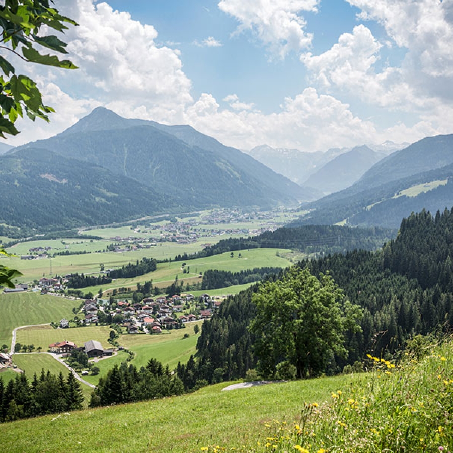 Bauernhofurlaub Flachau002