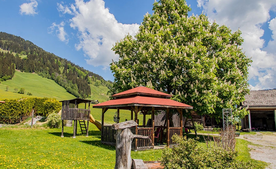 Bauernhofurlaub Flachau002