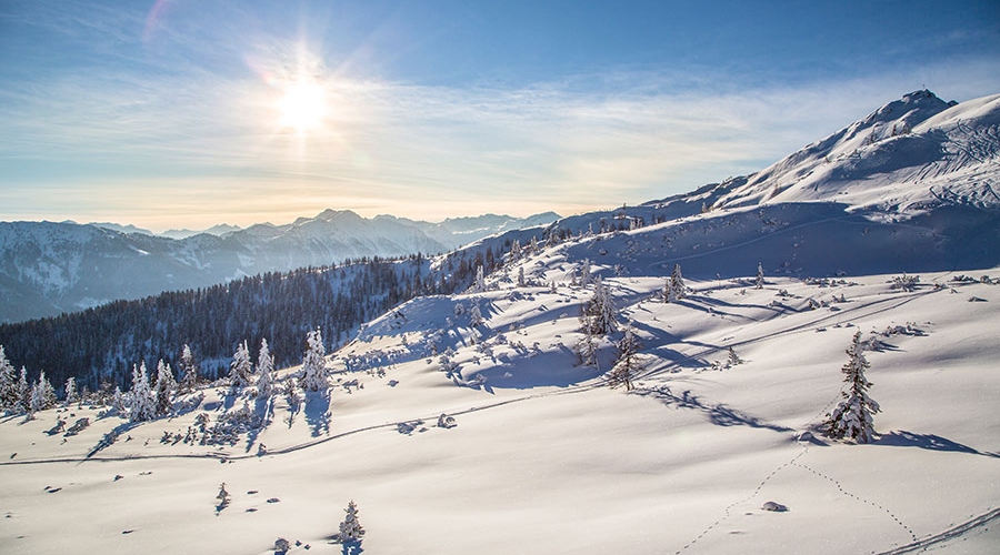 Bauernhofurlaub Flachau002