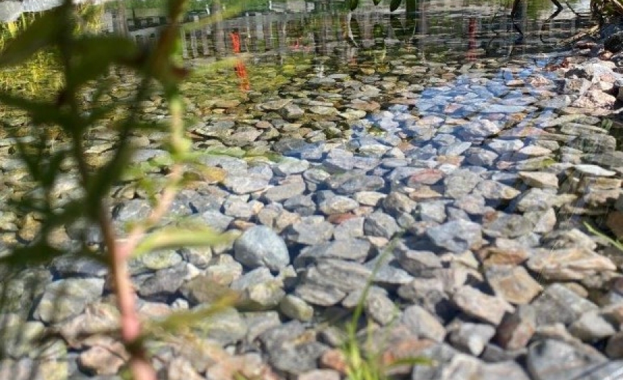 wasser-biotop-garten-urlaub-aignerhof